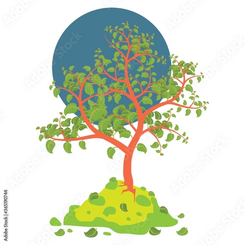 tree with fallen leaves