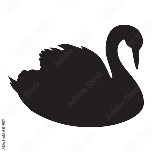 silhouette of swan