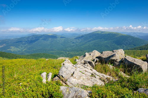 Canvas Print mountain meadow in summer landscape