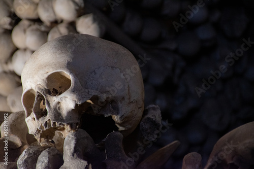 Skull in ossuary Kostnice