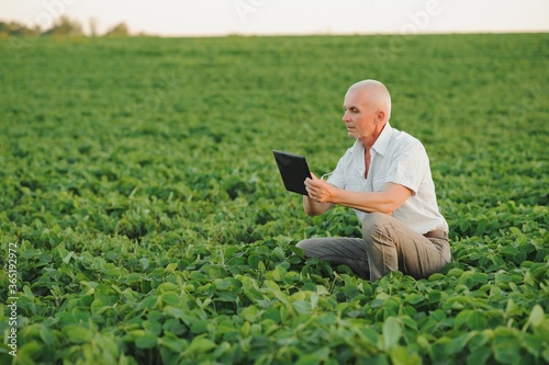 farmer in filed holding tablet in his hands and examining soybean corp.