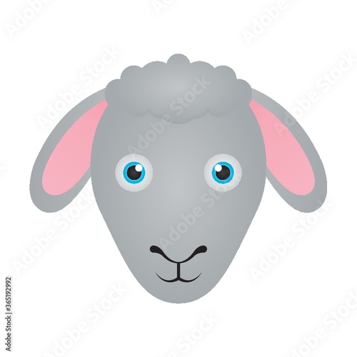 sheep