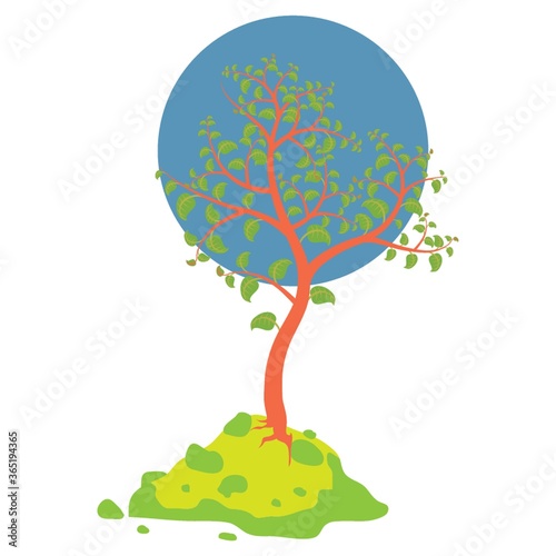tree with growing leaves