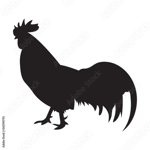silhouette of rooster