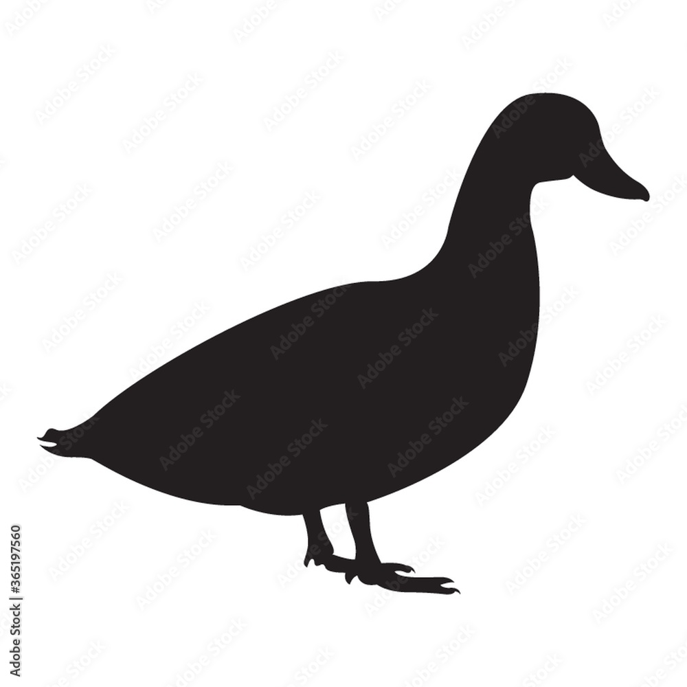 silhouette of duck silhouette of duck