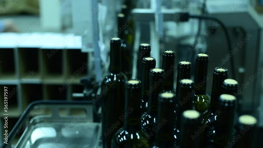 conveyor with wine bottles at wine factory. white wine production, wine bottling conveyor with wine bottles at wine factory. white wine production, wine bottling