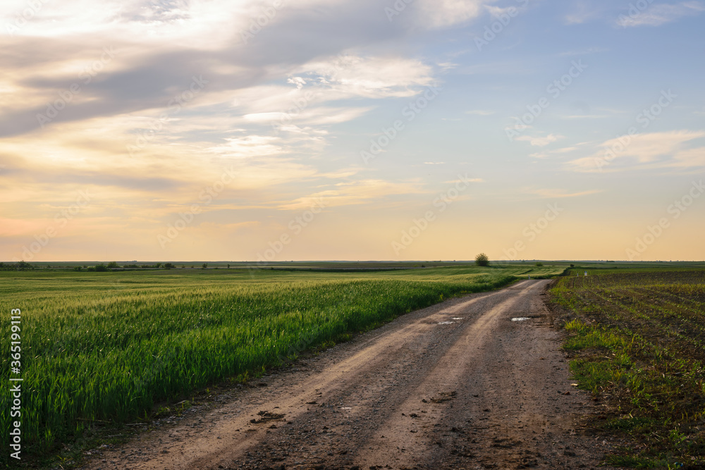 Naklejka premium Sunset in countryside landscape.