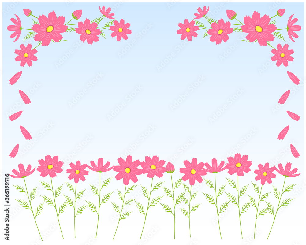 カラフルなコスモスの花のフレーム　秋桜のメッセージカード