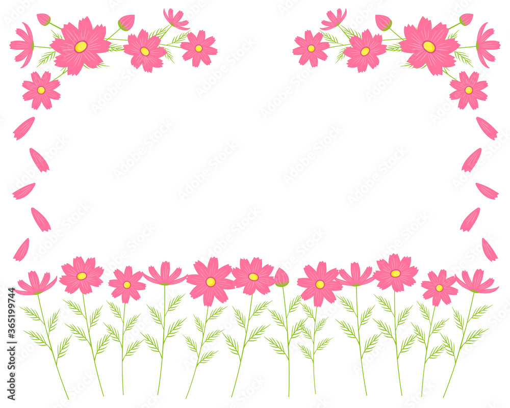 カラフルなコスモスの花のフレーム　秋桜のメッセージカード