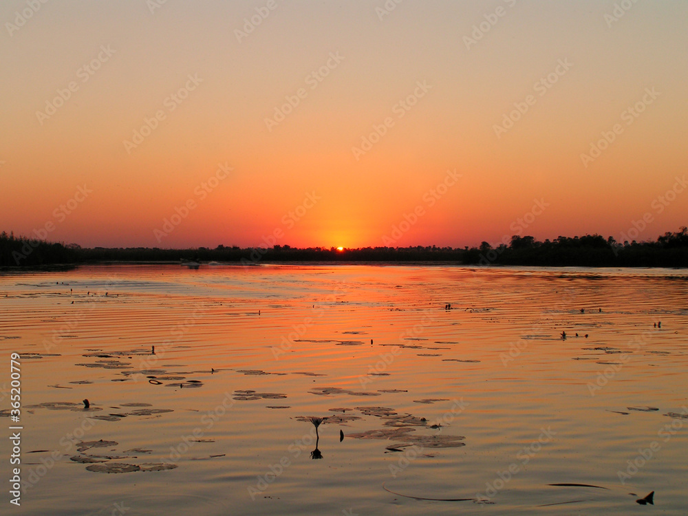 Sunset at Okavango River