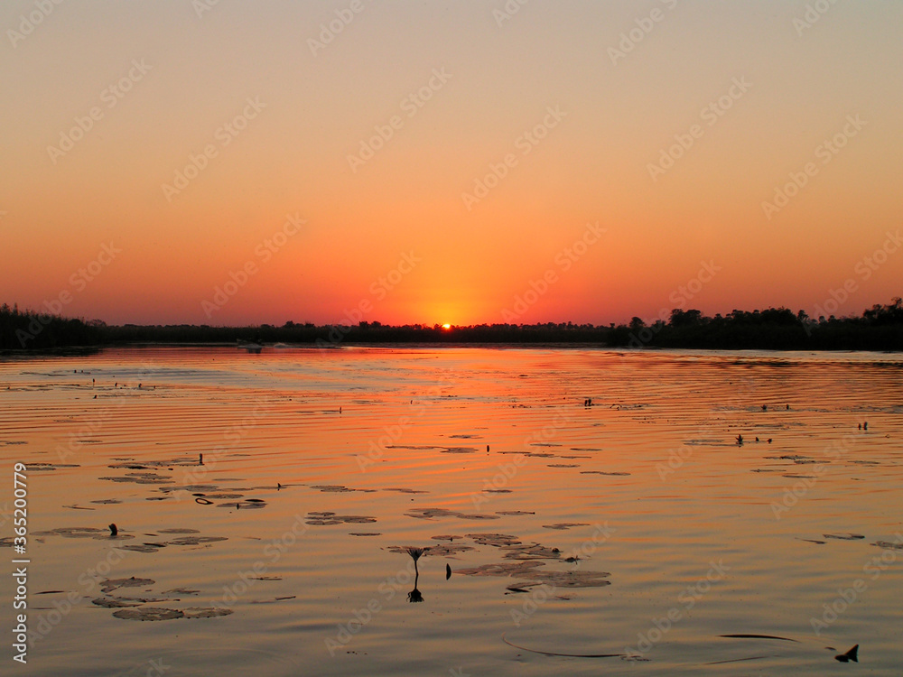 Sunset at Okavango River Sunset at Okavango River