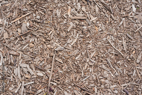 brown wood filings, dry wood texture photo