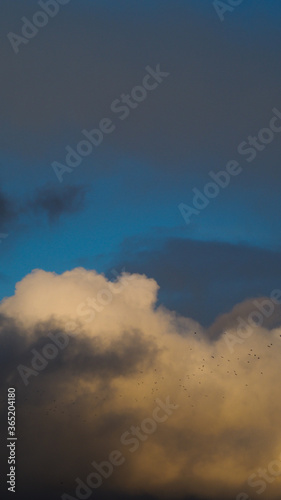 Belles teintes sur un cumulus illuminé par le soleil couchant, avec vol d'oiseaux