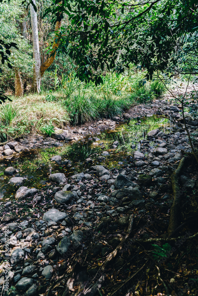 River in Byron Bay hinterland River in Byron Bay hinterland