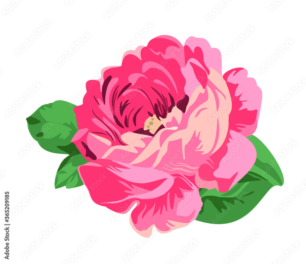 beautiful rose flower on a white background, vector icon, eps 10
