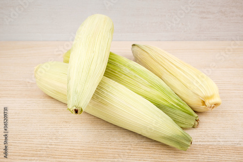 Raw corn on a white background