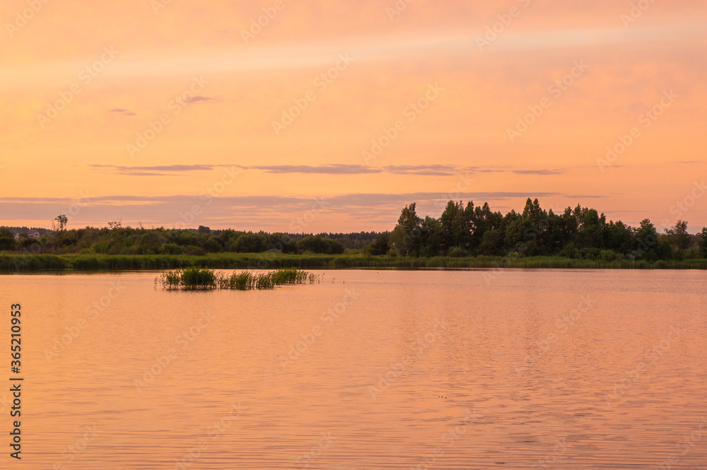 Beautiful pink vibrant sunset on a forest lake