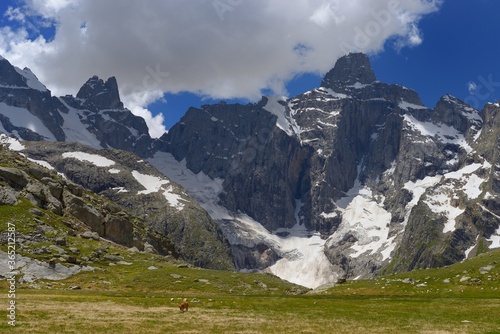 Summer in Caucasus