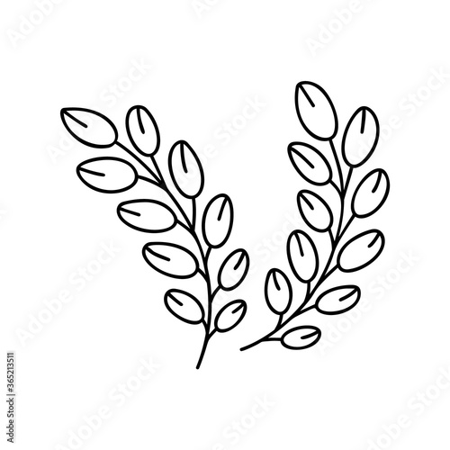 Rice  sprig of plant. Contour grain crop ear. Outline isolated icons. Hand drawn vector illustration for logo  print. Black doodle emblem for natural organic product. Sketch image on white background