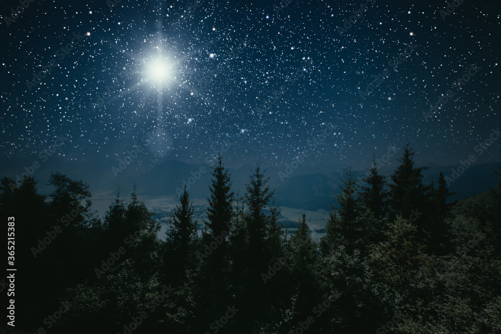 Fototapeta premium The star indicates the christmas of Jesus Christ.