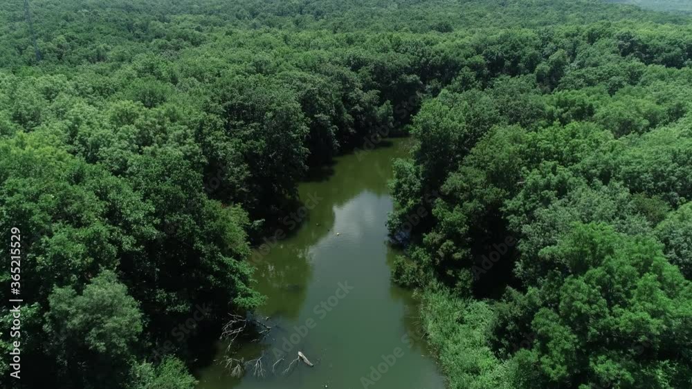 4K Aerial view of river and beautiful wild forest. 4K Aerial view of river and beautiful wild forest.