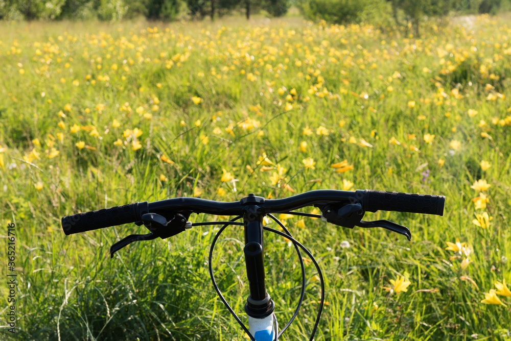 Bicycle on a background of a country road field with yellow flowers
