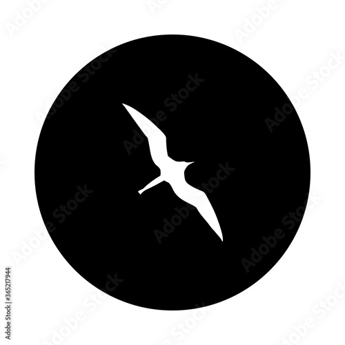 Fregattvogel und Kreis