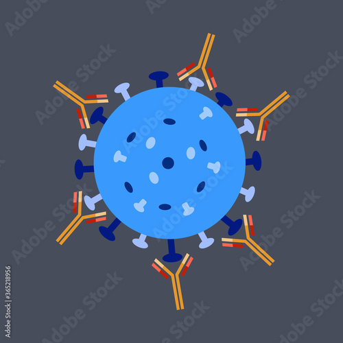 Vector illustration of antibody capturing a virus substance.