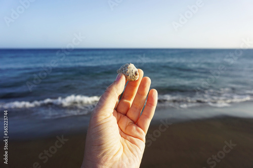Seashell in a female hand on a seashore background. A woman holds a seashell with her fingers on a background of ocean and sand. Close-up.