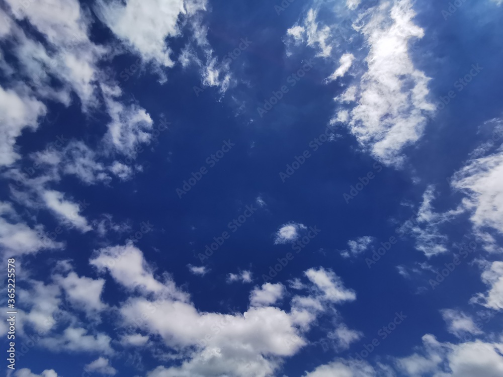 Fototapeta premium blue sky with a cloud