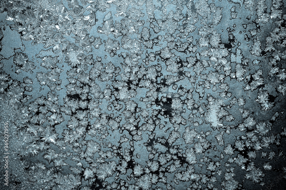water drops on the window water drops on the window