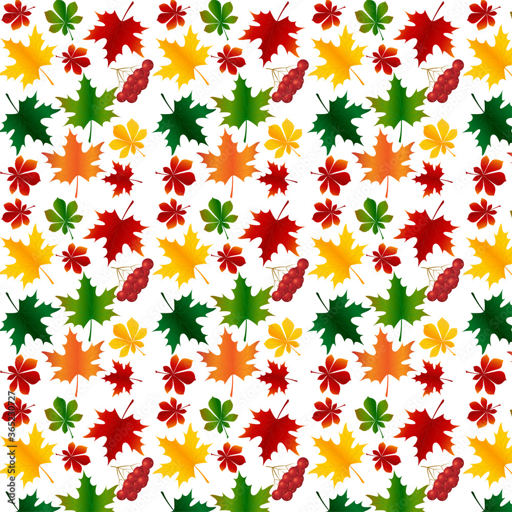 autumn leaves background autumn leaves background