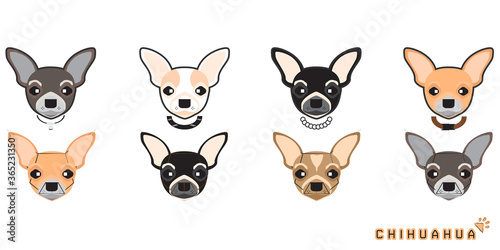 Set of cute cartoon dog with a Chihuahua, Vector dog set, eps10 vector format.