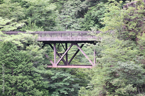 渓谷をまたぐ橋