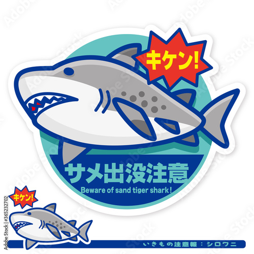 いきもの注意報：サメ（シロワニ）出没注意サイン
