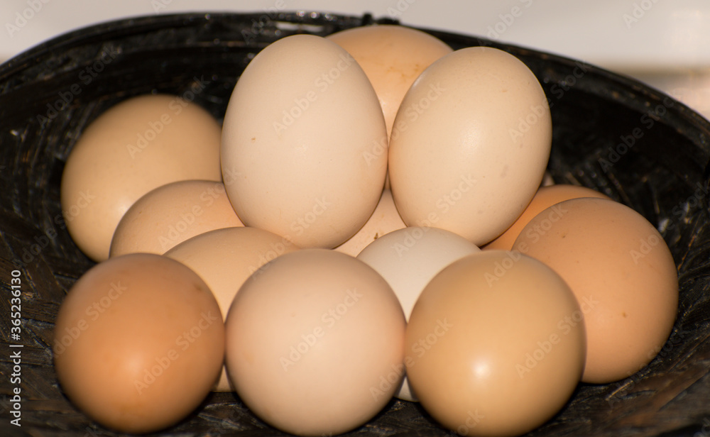 eggs in a bowl eggs in a bowl