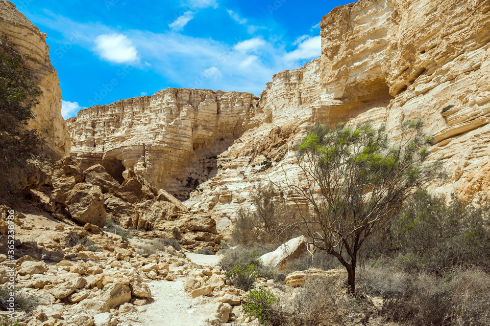 Fototapeta premium The caves and rocks