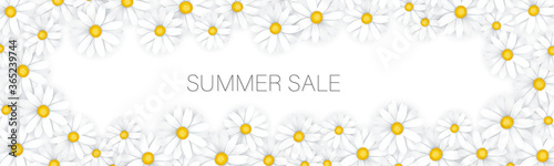 Summer sale banner or header. White daisy flowers tender femenine background. Promo design concept. Realistic vector illustration with lettering.