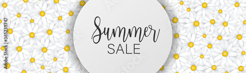 Summer sale banner or header. White daisy flowers tender femenine background. Promo design concept. Realistic vector illustration with lettering.