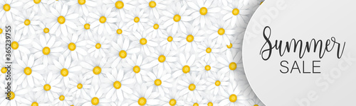 Summer sale banner or header. White daisy flowers tender femenine background. Promo design concept. Realistic vector illustration with lettering.