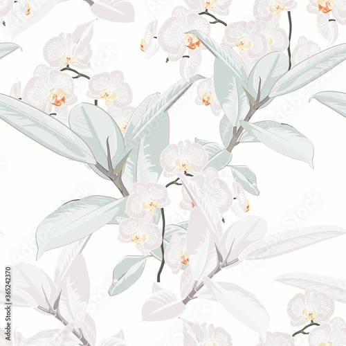 Seamless tropical white orchid flowers and Ficus Elastica pattern on light background. Exotic print. Vintage motives.
