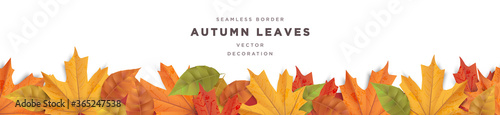 Beautiful autumn leaves decorative seamless border frame vector template