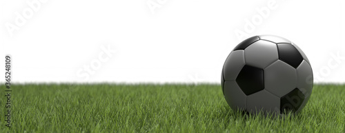 Soccer ball, football close up view, green grass field background. 3d illustration