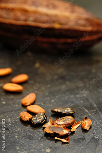 Belgium - Brussels : Some Cocoa Beans On The Table