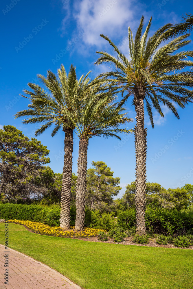  The magnificent botanical park