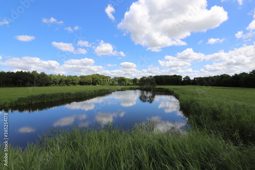 Fototapeta Naklejka Na Ścianę i Meble -  Beautiful view over Dutch water landscape during the summer with a beautiful blue sky and white clouds.