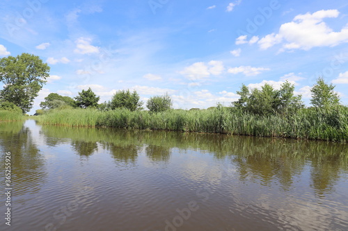 Beautiful view over Dutch water landscape during the summer with a beautiful blue sky and white clouds.