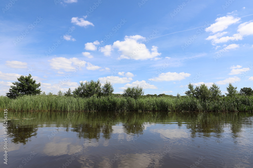 Beautiful view over Dutch water landscape during the summer with a beautiful blue sky and white clouds.