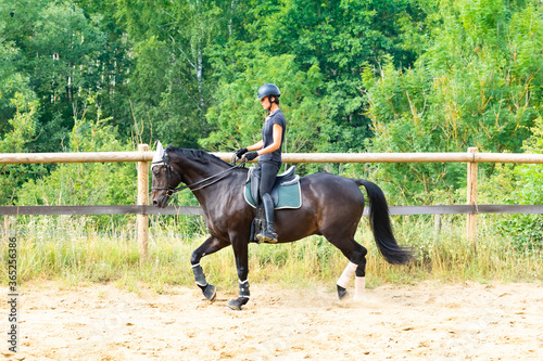 training of a rider and her bay horse in dressage