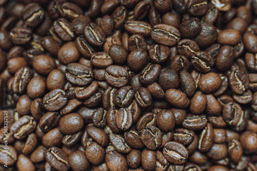 Fototapeta premium Kaffeebohnen - Macro Close-up